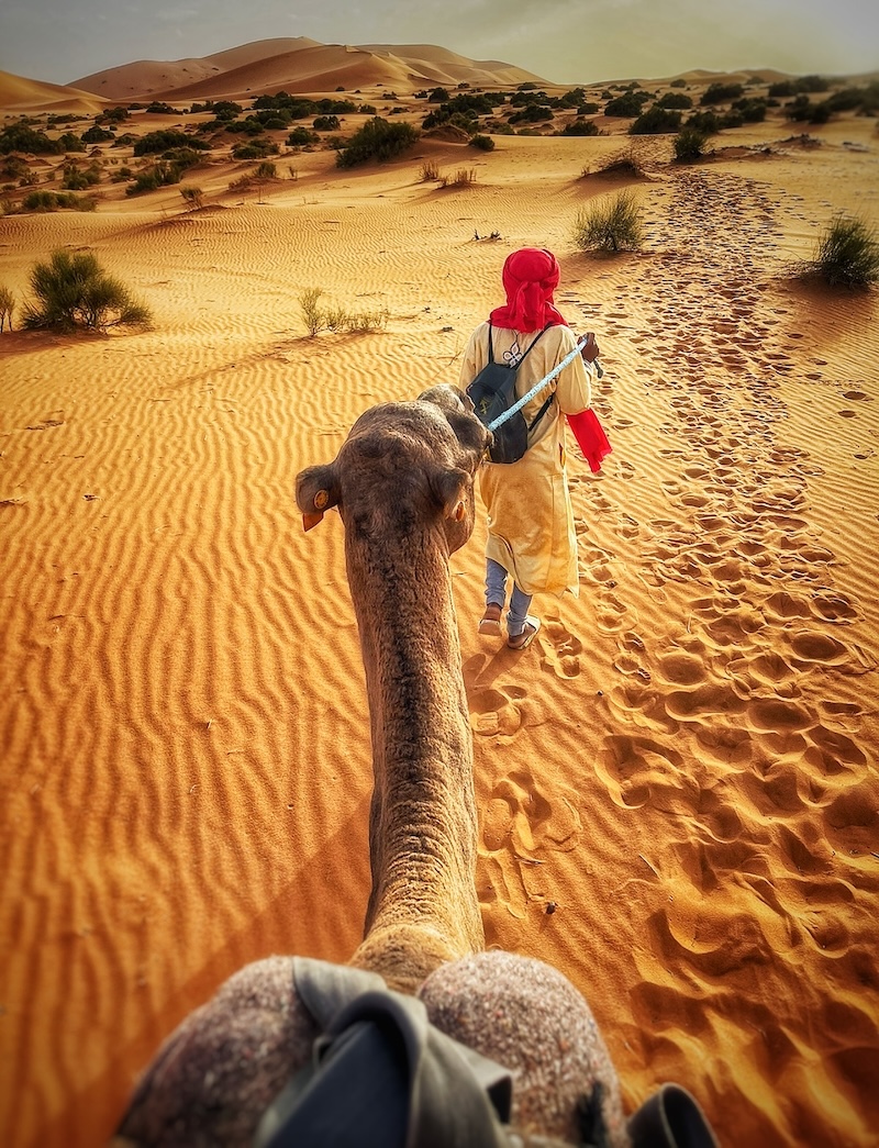 Desert life